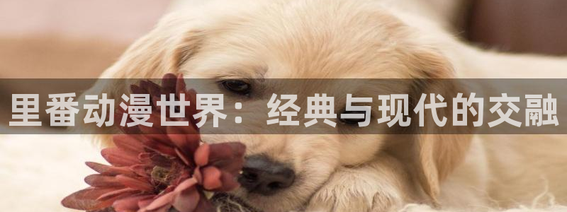 58动漫网免费动漫：里番动漫世界：经典与现代的交融