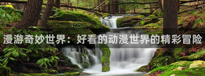 58动漫动画：漫游奇妙世界：好看的动漫世界的精彩冒险