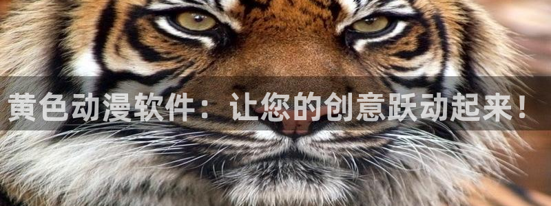 58动漫h：黄色动漫软件：让您的创意跃动起来！
